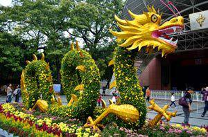 藝菊造型--臥龍